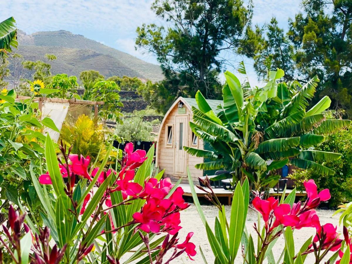 Lykke Suite Spa Sauna Piscina Y Jardin Buzanada ภายนอก รูปภาพ