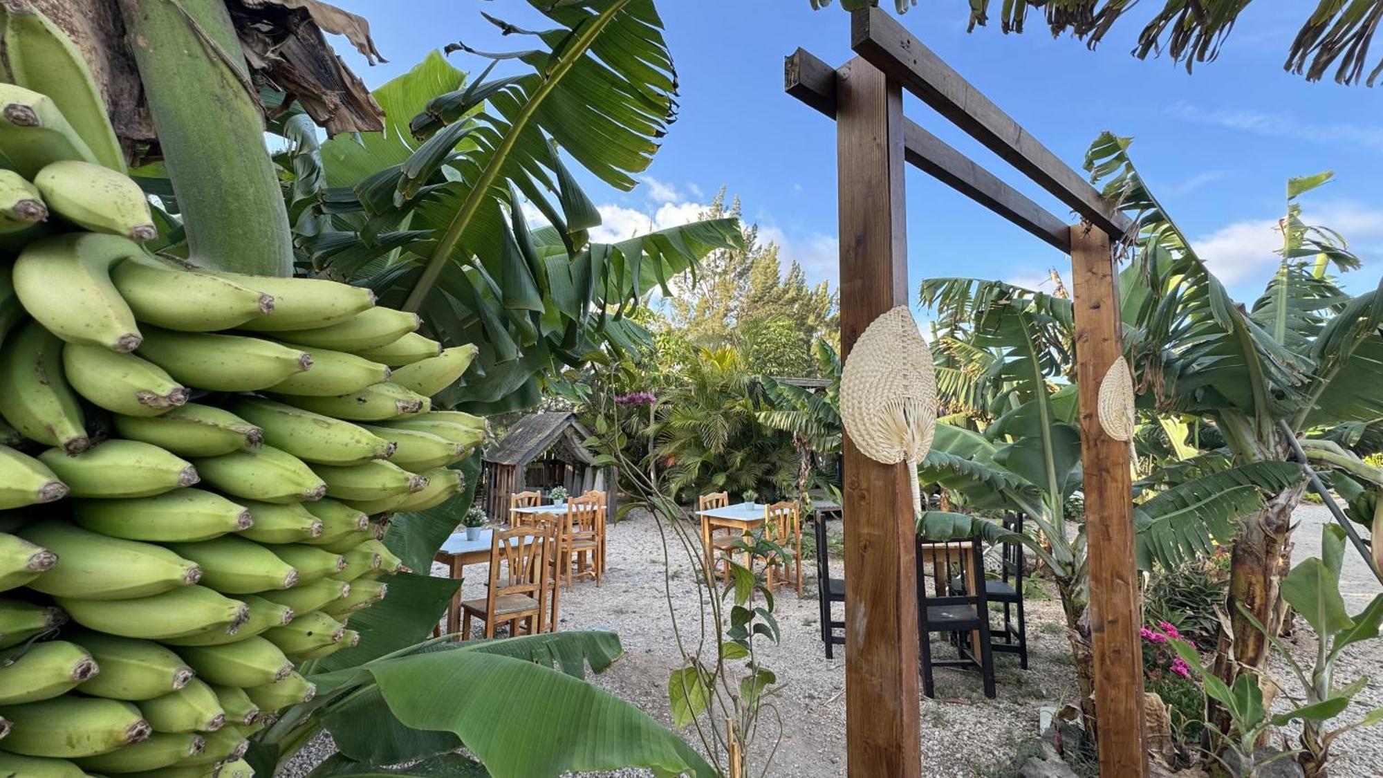 Lykke Suite Spa Sauna Piscina Y Jardin Buzanada ภายนอก รูปภาพ