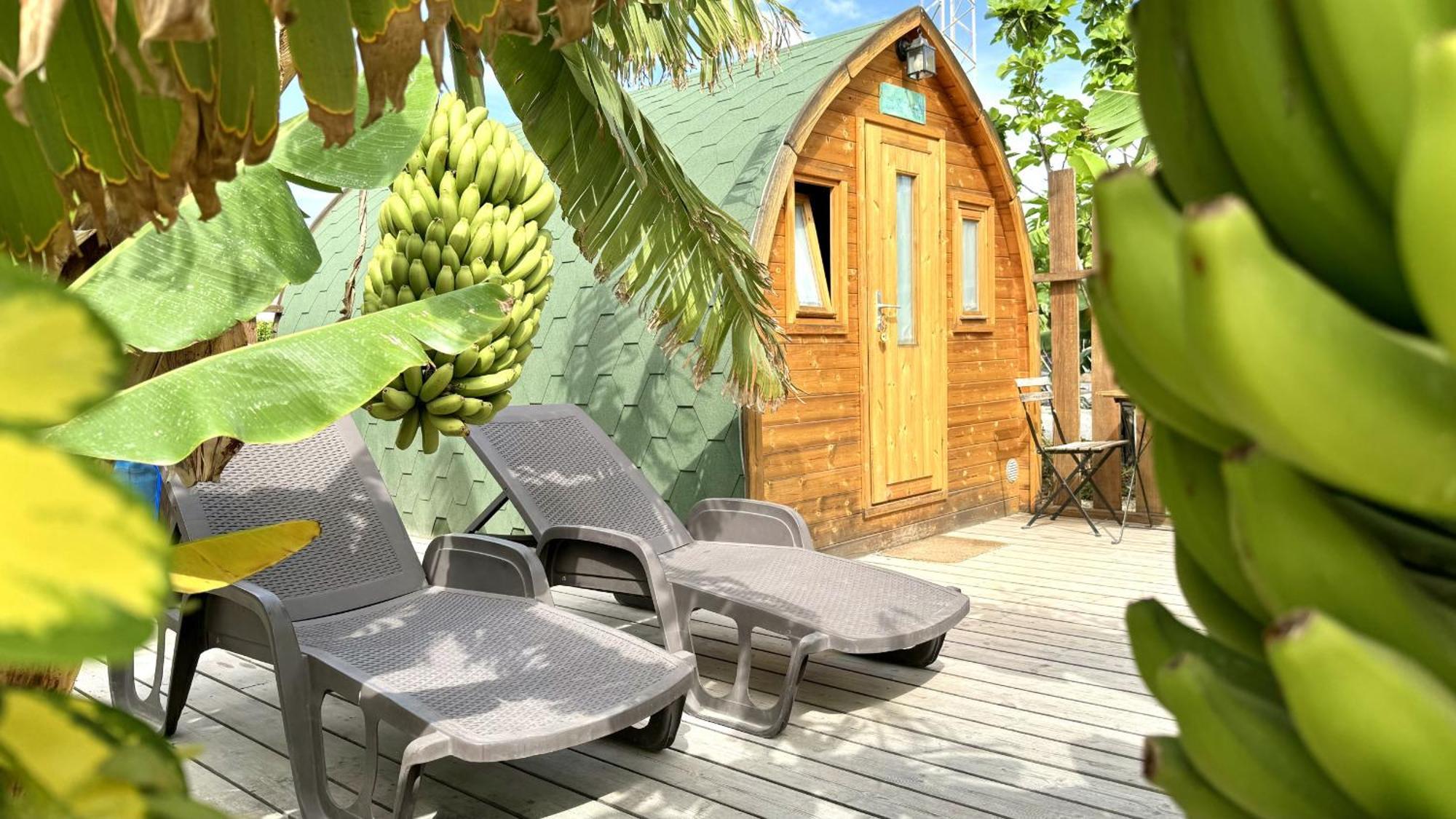 Lykke Suite Spa Sauna Piscina Y Jardin Buzanada ภายนอก รูปภาพ